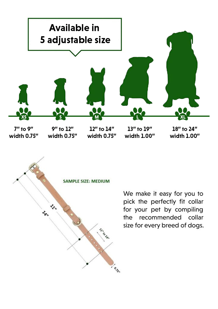 Dog-List-Size-Illustration.png